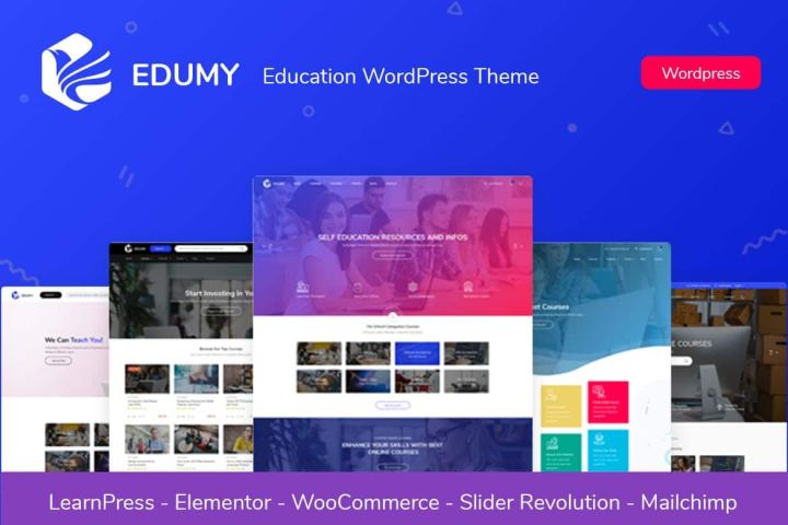 Edumy – Educação Online LMS WordPress Tema